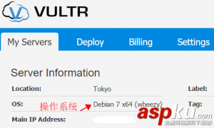 Vultr服务器国内连接速度评测及加速方案推荐