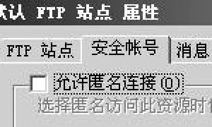 Windows中IIS内FTP服务器高级配置图文教程