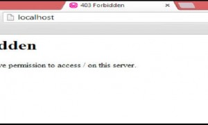 打开网页提示403 Forbidden错误怎么办