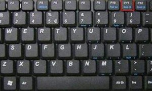 电脑数字小键盘失灵怎么办 小编帮你解决
